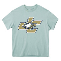Arona juniata college Heavy Core Tee - artisFamous