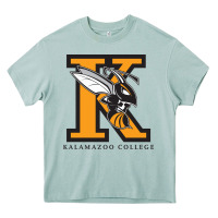 Arona kalamazoo college Heavy Core Tee - artisFamous