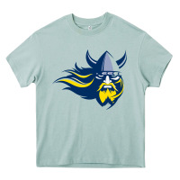 Arona augustana vikings augustana college Heavy Core Tee - artisFamous