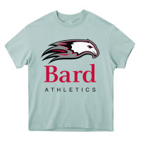 Arona bard college athletics Heavy Core Tee - artisFamous