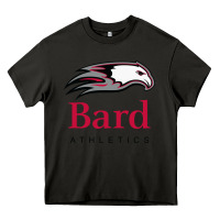 Asphalt bard college athletics Heavy Core Tee - artisFamous