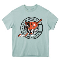 Arona buffalo state college Heavy Core Tee - artisFamous