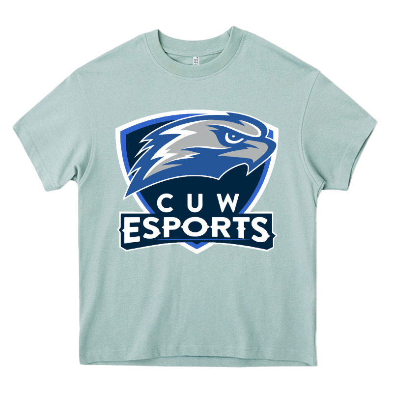 Concordia University Wisconsin Heavy Core Tee by artisFamous | Teevron