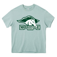 Arona morrisville state college Heavy Core Tee - artisFamous