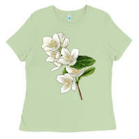 Matcha Mock Oranges Illustrations Ladies Tee - LillyAllenDesigns