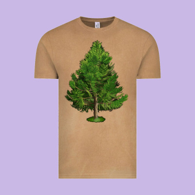 White Pine Tree Illustrations Vintage Tee Designed By Lillyallendesigns