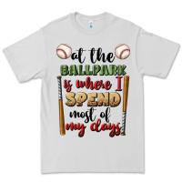 Dove Grey at the ballpark is where i spend most my days Premium Tee - BundleAndBundleShop