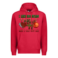 Cardinal i like big bulbs and i can not lie Premium Hoodie - BarkalooDesign
