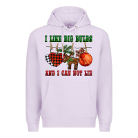 I Like Big Bulbs And I Can Not Lie Premium Hoodie | Teevron
