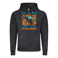 Vintage Black just a boy who loves baby spinosaurus Vintage Hoodie - Artiststas