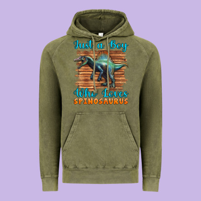 Just A Boy Who Loves Baby Spinosaurus Vintage Hoodie Designed By Artiststas