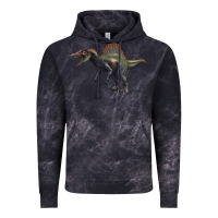 Cloud Black spinosaurus Vintage Hoodie - Artiststas