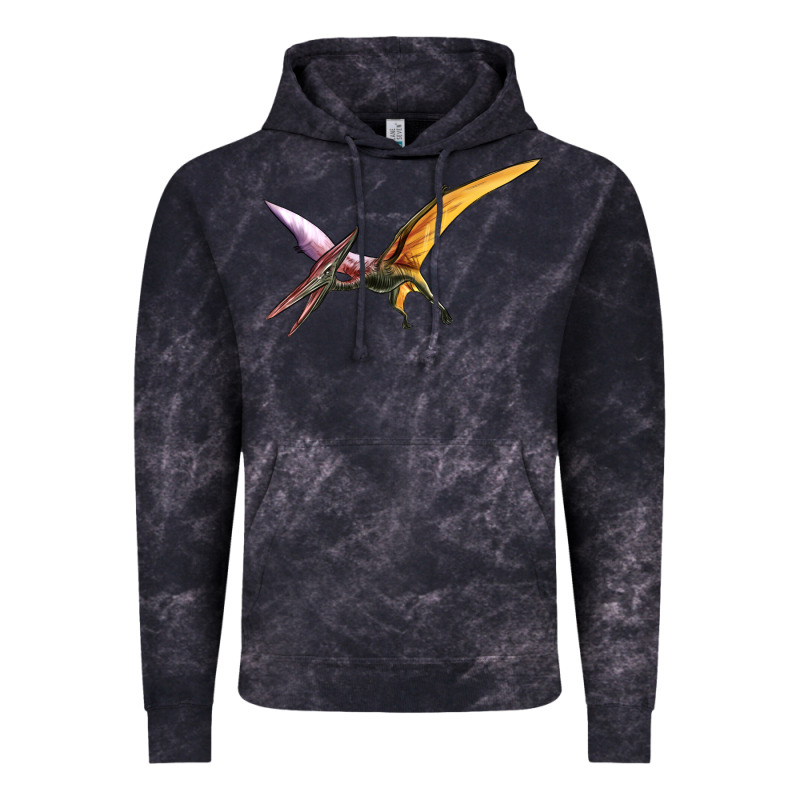 Dinosaur Pterodactyl Vintage Hoodie by Artiststas | Teevron