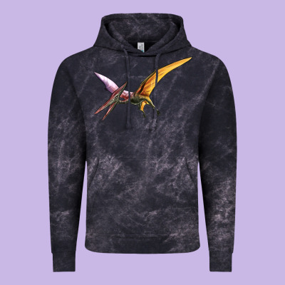 Dinosaur Pterodactyl Vintage Hoodie Designed By Artiststas