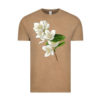 Vintage Coffee Mock Oranges Illustrations Vintage Tee - LillyAllenDesigns