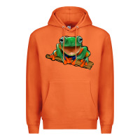 Carrot frog Premium Hoodie - Jasminsmagicworld