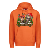 Carrot Christmas donkeys Premium Hoodie - BarkalooDesign