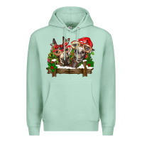 Seafoam Christmas donkeys Premium Hoodie - BarkalooDesign