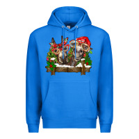 True Royal Christmas donkeys Premium Hoodie - BarkalooDesign