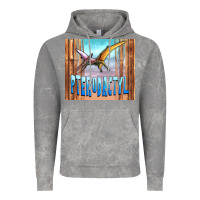 Cloud Rock dinosaur pterodactyl Vintage Hoodie - Artiststas