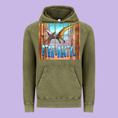 Dinosaur Pterodactyl Vintage Hoodie Designed By Artiststas