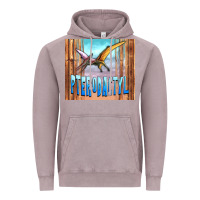 Vintage Zinc dinosaur pterodactyl Vintage Hoodie - Artiststas