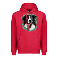 Cardinal border collie Premium Hoodie - Jasminsmagicworld