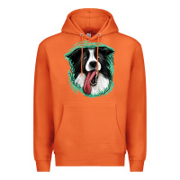 Carrot border collie Premium Hoodie - Jasminsmagicworld