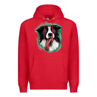 Red border collie Premium Hoodie - Jasminsmagicworld