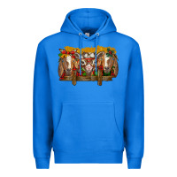 True Royal Christmas goats Premium Hoodie - BarkalooDesign