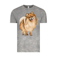 Cloud Rock Pomeranian Dog Illustrations Vintage Tee - LillyAllenDesigns