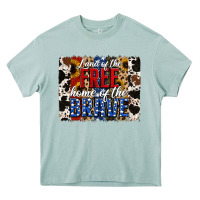Arona Land of the Free Home of the Brave Brushstroke Heavy Core Tee - Jasminsmagicworld