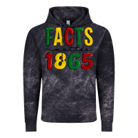 Cloud Black facts matter 1865 Vintage Hoodie - Artiststas