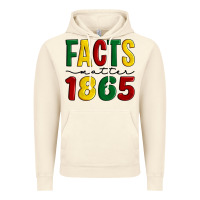 Vintage Artic facts matter 1865 Vintage Hoodie - Artiststas