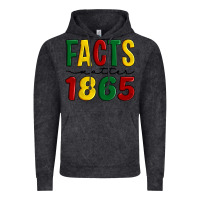 Vintage Black facts matter 1865 Vintage Hoodie - Artiststas