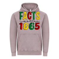 Vintage Zinc facts matter 1865 Vintage Hoodie - Artiststas