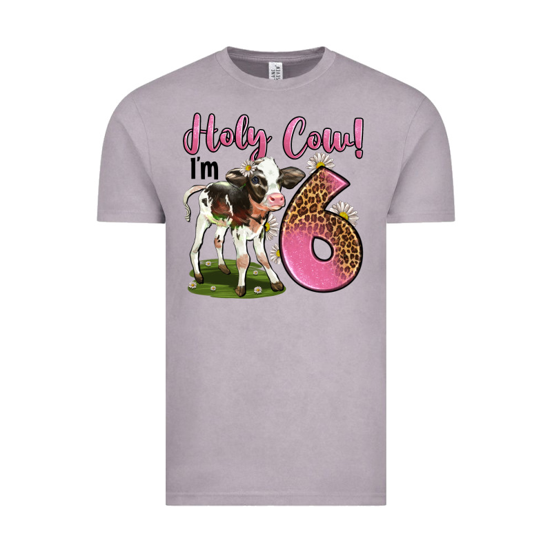 Holy Cow I'm 6 Years Old Vintage Tee by LillyAllenDesigns | Teevron