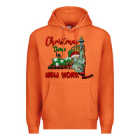 Carrot christmas time in new york Premium Hoodie - BarkalooDesign