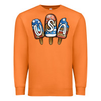 Carrot USA Patriotic Leopard Popsicles Premium Sweatshirt - Jasminsmagicworld