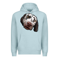 Blue Mist Dalmatian Premium Hoodie - Jasminsmagicworld