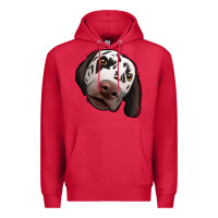 Cardinal Dalmatian Premium Hoodie - Jasminsmagicworld
