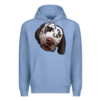 Colony Blue Dalmatian Premium Hoodie - Jasminsmagicworld