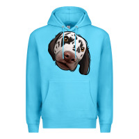 Ocean Blue Dalmatian Premium Hoodie - Jasminsmagicworld