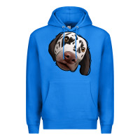 True Royal Dalmatian Premium Hoodie - Jasminsmagicworld
