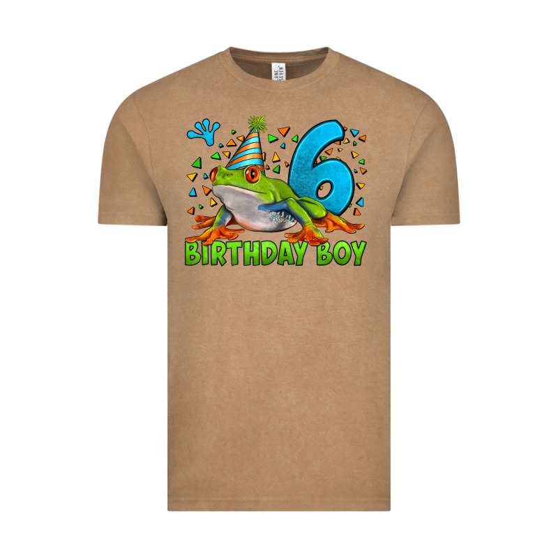 Birthday Boy Frog Age 6 Vintage Tee by LillyAllenDesigns | Teevron
