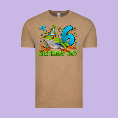 Birthday Boy Frog Age 6 Vintage Tee Designed By Lillyallendesigns