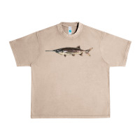 French Oak Paddlefish Illustrations, Urban Heavy Tee - LillyAllenDesigns