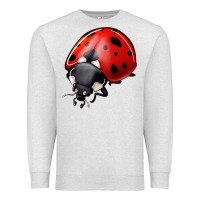 Oatmeal Heather ladybug Premium Sweatshirt - Jasminsmagicworld