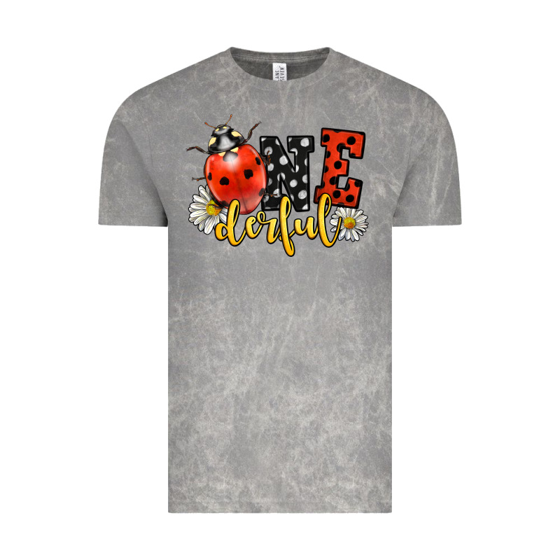 Onederful Wonderful Ladybug Vintage Tee by LillyAllenDesigns | Teevron