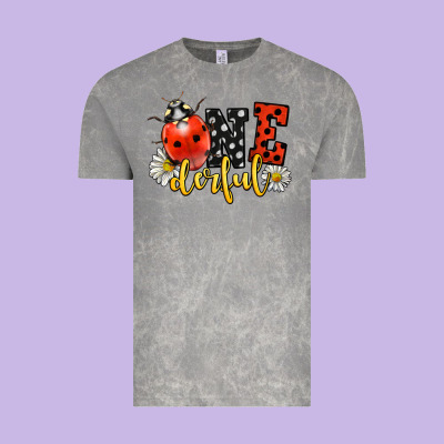 Onederful Wonderful Ladybug Vintage Tee Designed By Lillyallendesigns